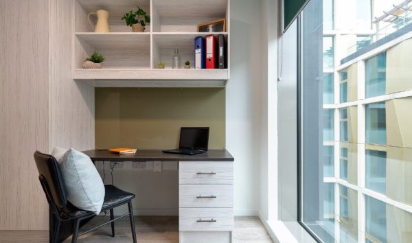 奥克兰大学暑期课程——开启知识新航程