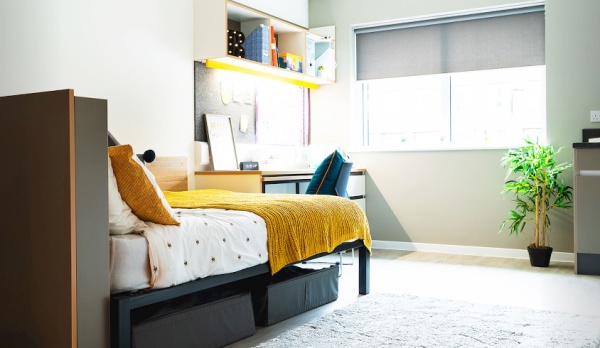 都柏林圣三一学院商科