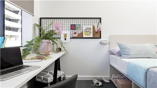 埃克塞特租房一个月多少钱 埃克塞特租房价格