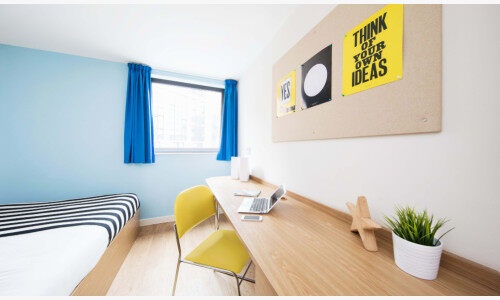 格洛斯特金丝雀 格洛斯特金丝雀鸟