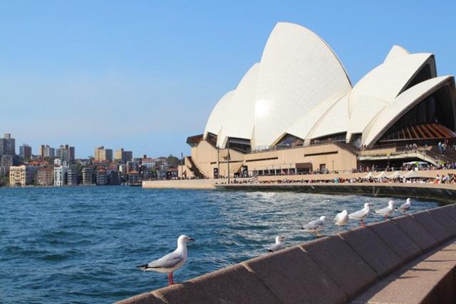 悉尼留学如何找公寓 悉尼住宿价格