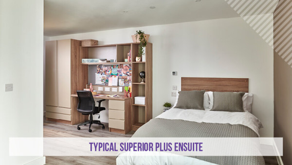 新加坡淡马锡理工学院教师 新加坡淡马锡理工学院韩明