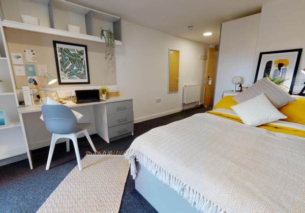 澳大利亚城市之虫：布里斯班vs悉尼，大比拼