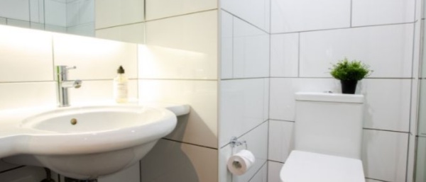 加拿大达尔豪斯大学世界排名