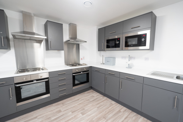 加州政府：美国最具影响力的州级政府