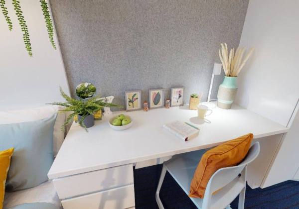 达尔文租房 | 达尔文租房有哪些攻略指南