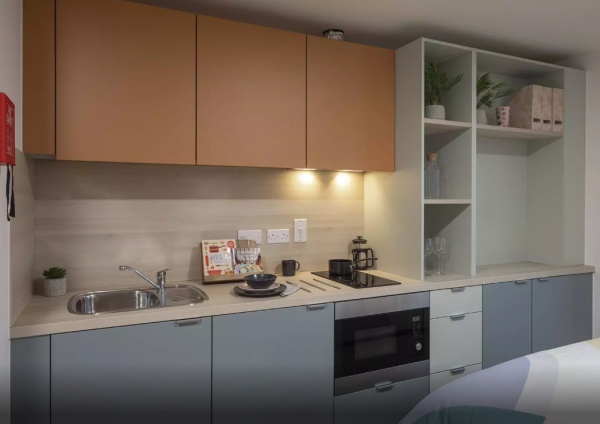 奥克兰租学生公寓 奥克兰留学如何租房子