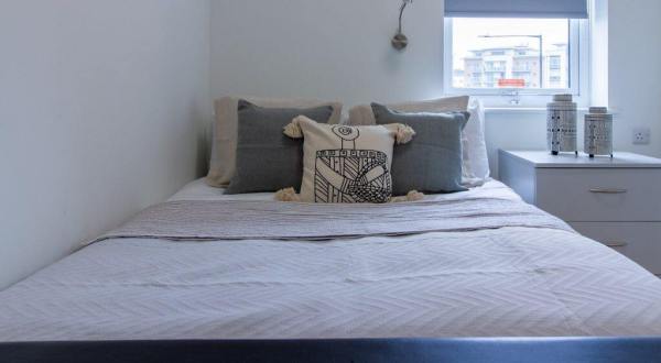 新西兰奥克兰留学生租公寓 新西兰留学生在奥克兰如何租学生公寓