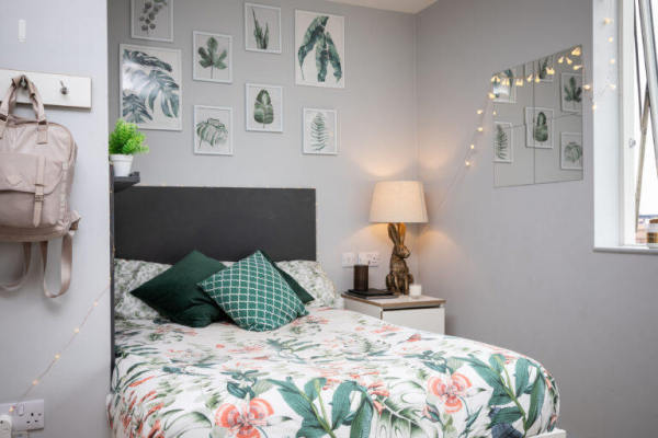 达尔文租房 | 达尔文租房有哪些攻略指南