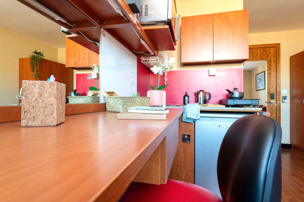 奥克兰留学生租房子 新西兰留学在奥克兰如何找公寓