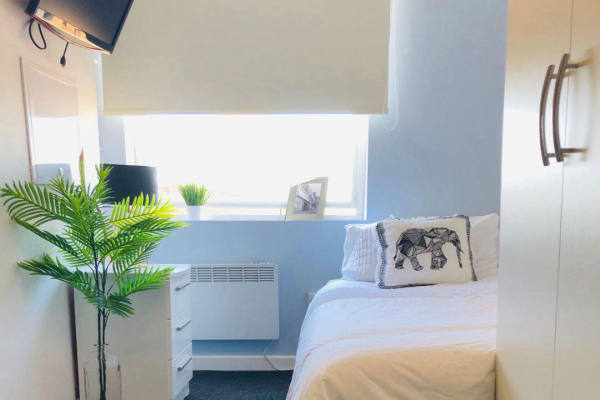 奥克兰租房子 奥克兰学生公寓多少钱一周