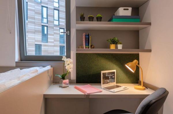 奥克兰留学租公寓 新西兰留学在奥克兰如何租房子