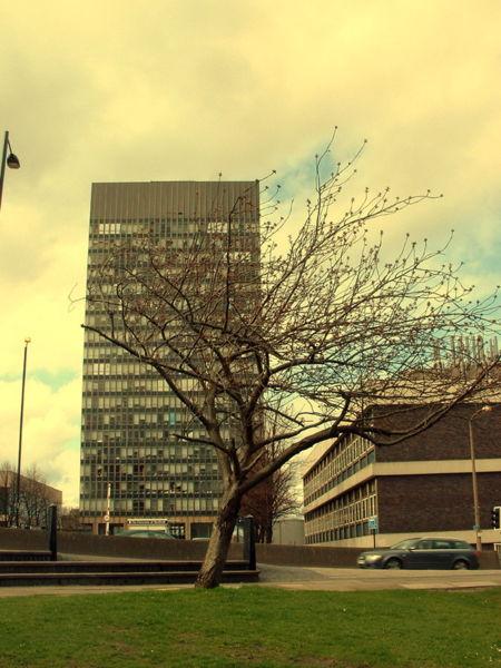 谢菲尔德留学生怎么找房 谢菲尔德学生公寓费用