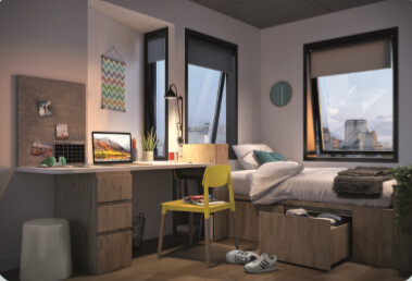 奥克兰留学生租房 新西兰留学在奥克兰怎么找公寓