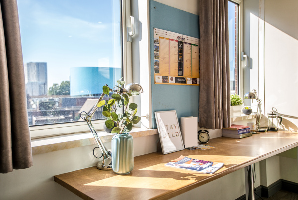 纽约租房 | 纽约视觉艺术学院附近租房有什么攻略指南