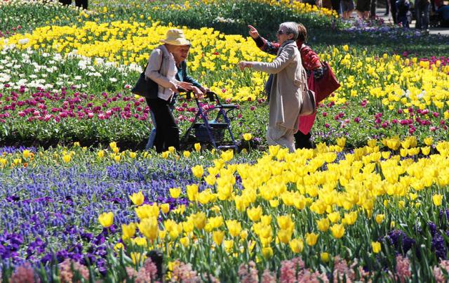 堪培拉租公寓 澳大利亚堪培拉留学生如何租学生公寓