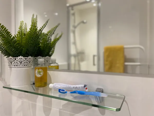 奥克兰商学院附近住宿攻略 奥克兰商学院附近租房多少钱一周