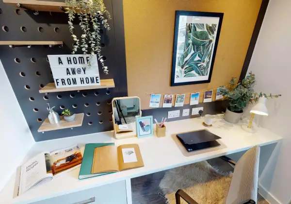 伦敦租房 | 欧洲经济学院留学生如何租学生公寓