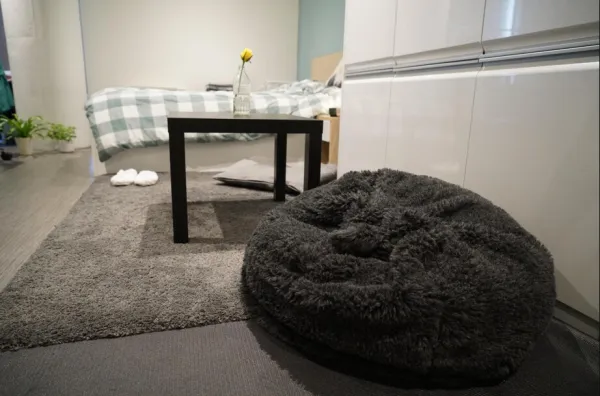 切斯特大学学生公寓攻略 切斯特大学附近学生公寓费用