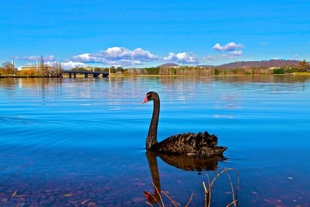 堪培拉留学租房 堪培拉留学怎么找公寓