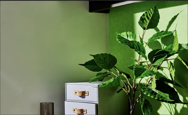 新加坡东亚管理学院马里士他校园住宿攻略 新加坡东亚管理学院马里士他校园附近学生公寓一个月多少钱