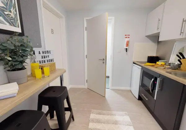 新西兰奥克兰留学生住宿 奥克兰留学如何找房子