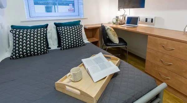 新加坡理工学院住宿注意事项 新加坡理工学院租房贵吗