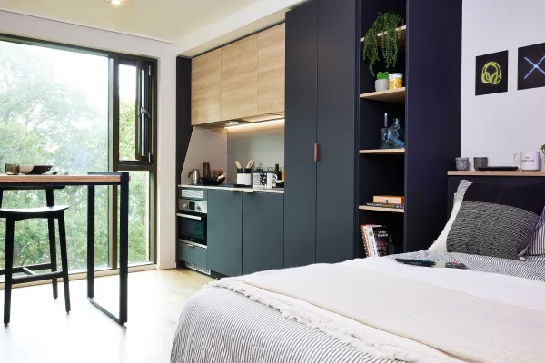 达尔文租房 | 达尔文租房有什么攻略指南