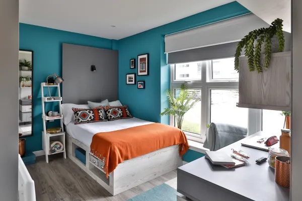 奥克兰租房 | 奥克兰商学院租房有哪些指南