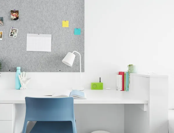 波士顿租房 | 哈佛大学租房有什么需要注意的地方