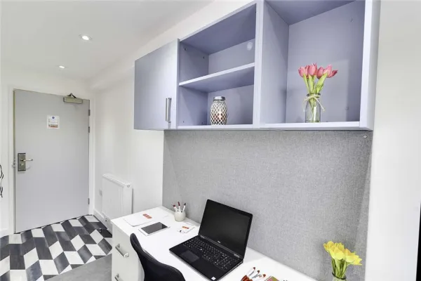 奥克兰大学附近住宿推荐 奥克兰大学租房一个月多少钱