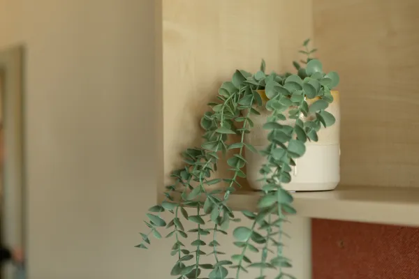 新加坡拉萨尔艺术学院找房攻略 新加坡拉萨尔艺术学院租房贵吗