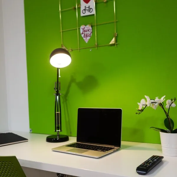 莱斯特大学学生宿舍注意事项 莱斯特大学找房多少钱一周