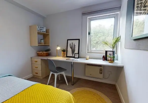 卧龙岗租房 | 卧龙岗留学租房有哪些建议