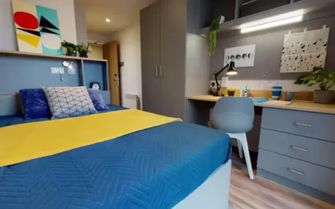 Monash旁三种Studio公寓，Focus与Excellence的分级选择指南