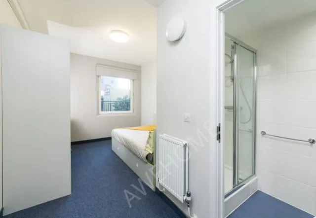 紐卡斯爾租房Mansion Tyne