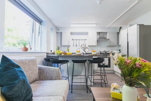 London student housing guide,Economical student apartments in London