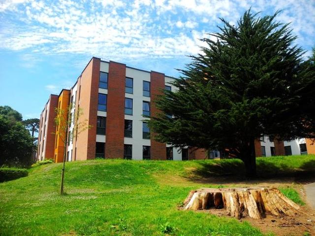 埃克塞特大学住宿推荐 埃克塞特大学附近学生公寓多少钱一周