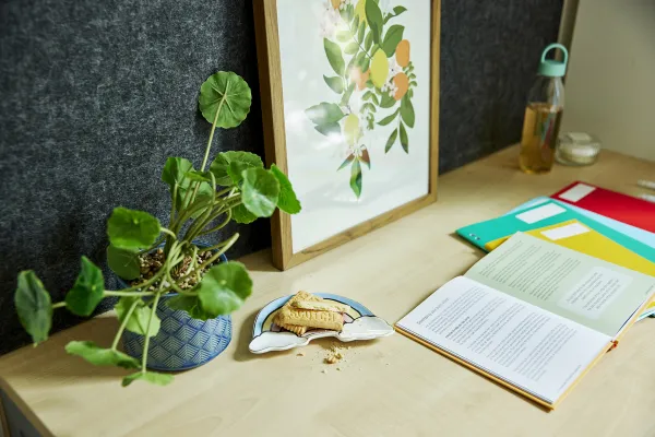 伦敦学生公寓费用 伦敦学生公寓出租